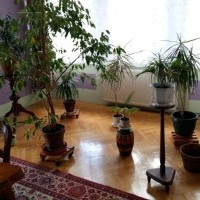 Vilă cazare ieftină lângă Gdansk, odihnă în Polonia